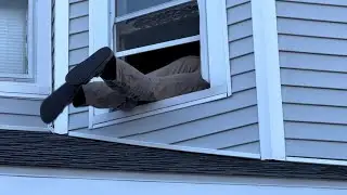 ASMR On The Roof