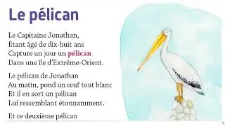 37 Lecture tout terrain CP : Oral Le pélican