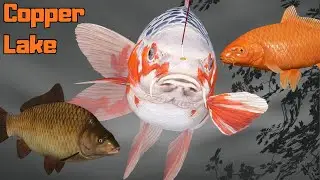 KOI CARP COPPER LAKE (135) | Russian Fishing 4 RF4