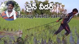 వాలంటరీ రిటైర్మెంట్ తీసుకున్న.. ప్రకృతి సేద్యం చేస్తున్న | Chain Weeder in Paddy | Telugu RythuBadi