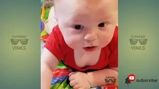 TRY TO NOT LAUGH-Cats fails editions|Supreme Vines 2020 #fail #funny #cats