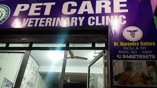 #cat #dog  #petshub #petfood  #catcare #indian #india #dogs 