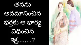 బంధువులందరి ముందు తనకు క్షమాపణలు చెప్పాలని తన భర్తకు షరతు పెట్టిన భార్య....  telugu audio story