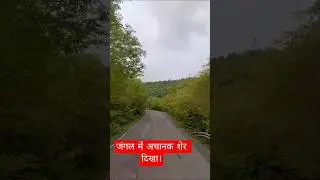 travel  time|Jungal toor|saiyara song| for wheelers  |thhar video
