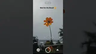 Simple Flower Photography With Mobile ✨🤩 #shorts