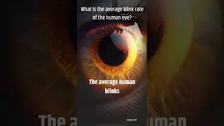 Eye Blinking Facts and Trivia