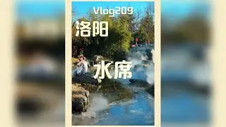 Vlog209/全国寻味之旅怼一个洛阳必吃