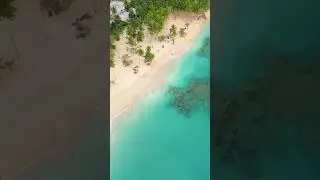 Vivir o invertir en Las Terrenas es elegir naturaleza, rentabilidad y estilo de vida 🌊🌴