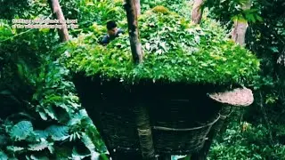 Crafting a safe haven in the heart of the wilderness one log at a time