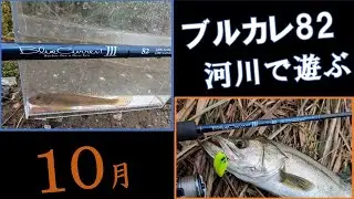 【ブルーカレントⅢ 82】宮城県10月河川釣行