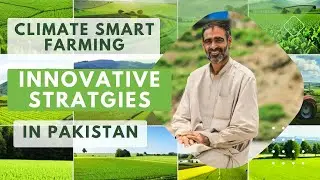 Climate Smart Farming in Pakistan | How Farmers Thrive with #innovative Strategies #farming #agri