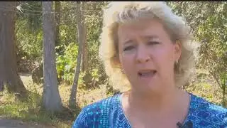 Golden Gates residents calling for end of backyard shooting ranges