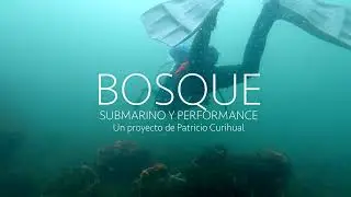 Trailer Bosque Submarino y Performance