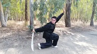 Choy Lee Fut Kung Fu. Traditional Kung Fu Style.