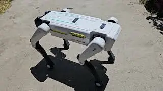 Toy Spot Robot Dog Smart Dog Demo