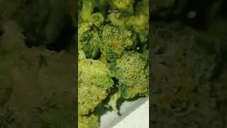 Simplymary Z-Cubed Smalls THCA FLOWER #simplymary #skittelz