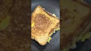 The Perfect Avocado and Cheese Combo: Sandwich Edition | My Cuisine Recipes