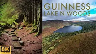 Guinness Lake | Wicklow Woods | Ireland #wicklowwoods