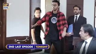 Pinjra 2nd Last Episode | Presented by Sensodyne | Tonight at 9:30 PM only on ARY Digital