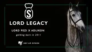 Lord Legacy // 1,25 m // Unna Massen