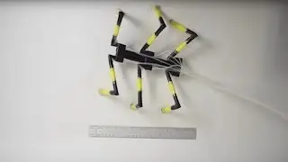Scientists use: simple materials to create semi soft robots.