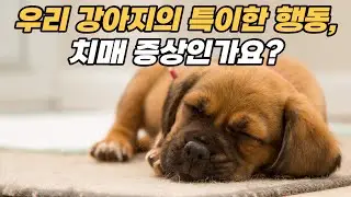 Diagnosis and treatment of dog cognitive dysfunction syndrome and dementia symptoms