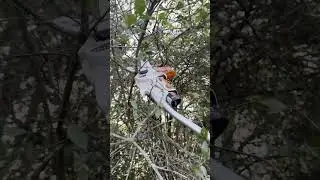 Genėjimas be kopėčių -Lengva konstrukcija, galinga baterija. Tinka visiems sodo darbams.