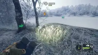 theHunter: Call of the Wild. RARE PIEBALD MOOSE