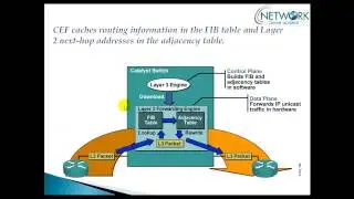 CCNP Switch (300 - 115) version 2.0: CEF