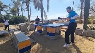 RROS Durable Concrete Table Tennis (Ping Pong) Table&rsquo;s ball bounce = 23cm!