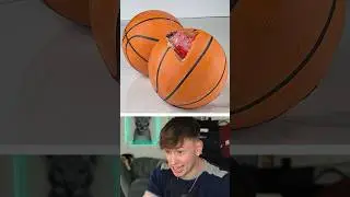 TORTE oder ECHT? 😲🤔