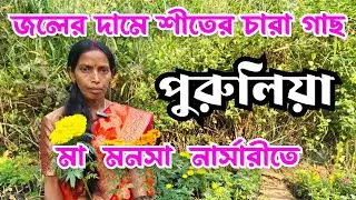 Winter flower in maa manasha nursery in Purulia due to water price