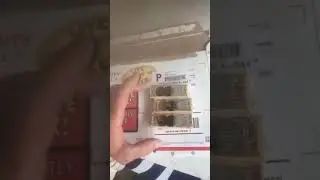 Varroa Resistant Honey Bee Queens From Weaver Bees !!!