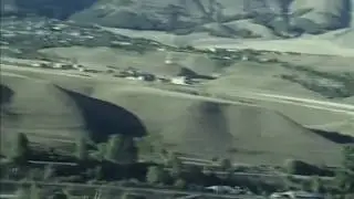 Oyuğun dalı arcut
