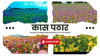 कास पठारावर फुले उमलण्याच्या हंगामासाठी सुरुवात | Kas Pathaar 2024 | SanvadMedia