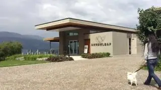 Dog Friendly Wineries | Wesla Wong & Duane English