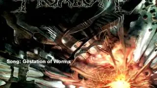 Best Technical Death Metal Bands (Part 3)