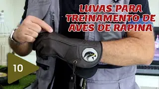 #010 - Luvas Para Treinamento de Aves de Rapina
