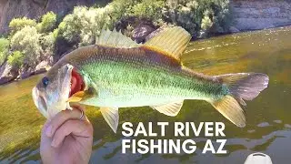Salt River AZ // Kayak Fishing