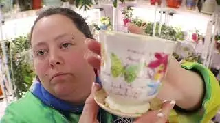 Teacup Planter Collection