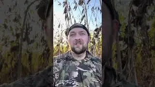 Beautiful evening dove hunting waiting on Oct 1st for bowseason