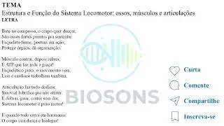 Sistema Locomotor: Ossos, Músculos e Articulações
