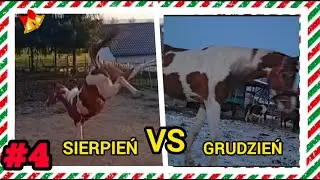 WIELKA ZMIANA MADERY😱😍 | Vlogmas#4