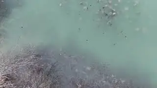 Frozen pond