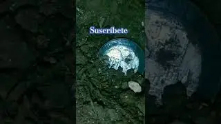 SALIO MONEDA DE RUSIA 10 RUBLOS #REE