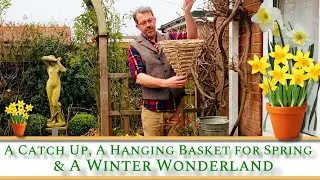 A Catch Up, A Hanging Basket for Spring and a Winter Wonderland