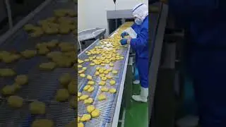 Hamburger Patty  Chicken Nuggets Process Line 3