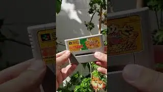 Kirby Super Deluxe (Kirby Super Star) - #41E Cat&aacute;logo Famfita