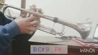 Oleo de Alegría (Tutorial Trompeta)