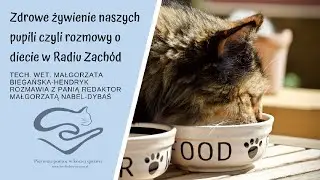 Woda w kociej diecie - audycja 